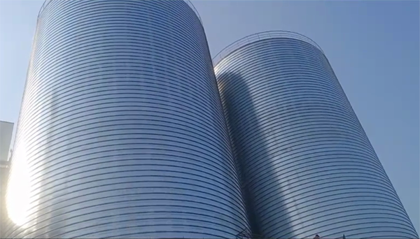 碑林2座混凝土高架卷板仓